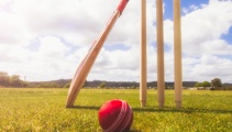 "Over the moon": Craig McMillan picks up fulltime role with White Ferns