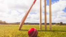 Matt Wilson: Cricket Wellington's Competitions Manager explains new Senior men's club grades
