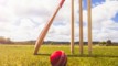 Young Australian cricketer dies after being struck by ball