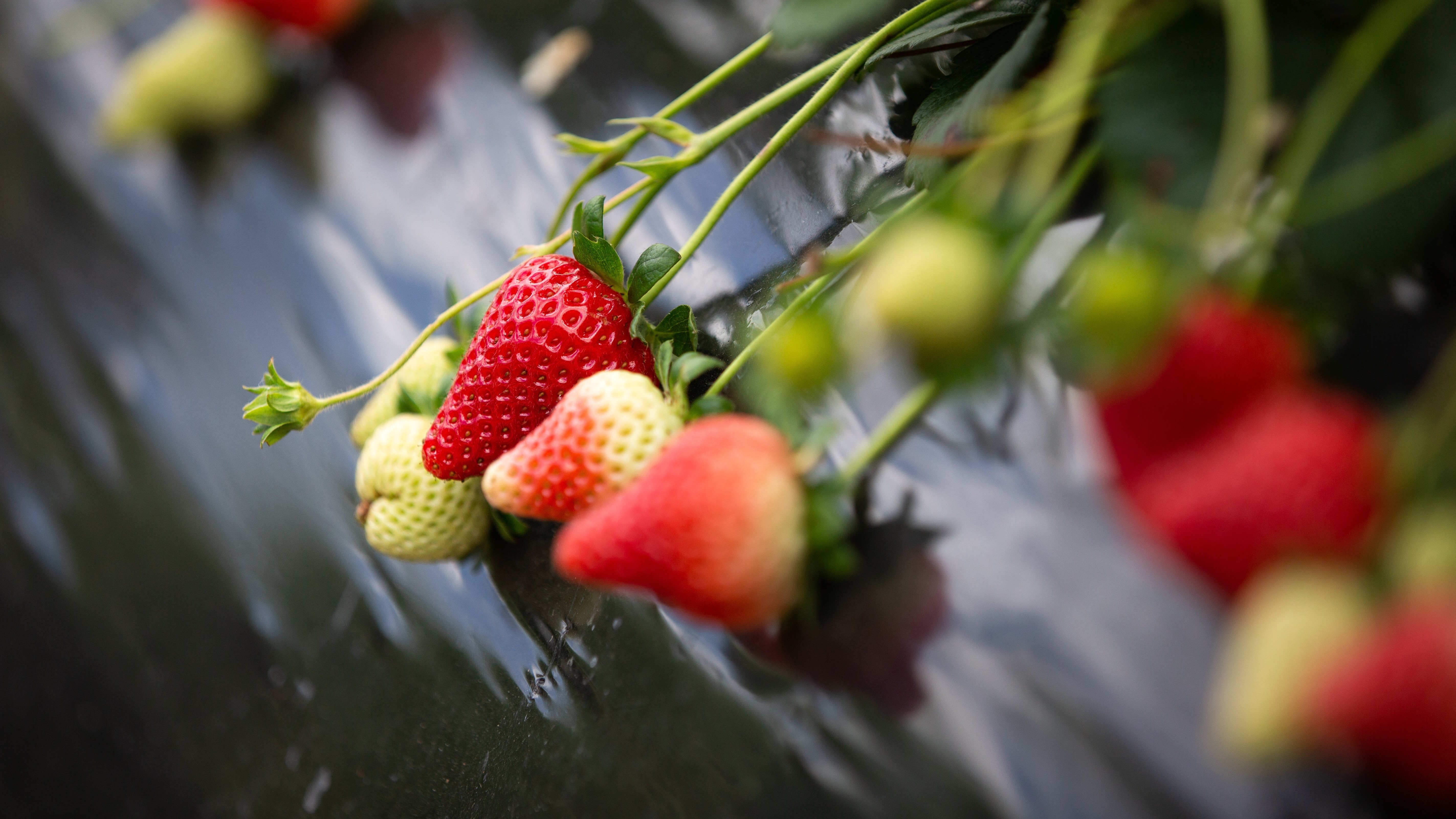 Kate Hall: Sustainable activities for the summer