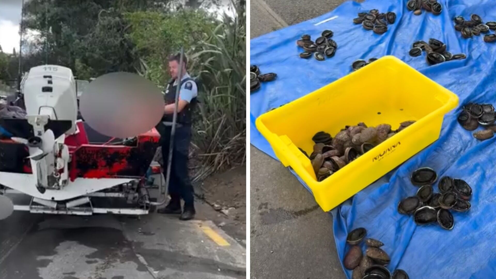 'The gloves are off': Man vows to keep exposing illegal fishing despite violent threats