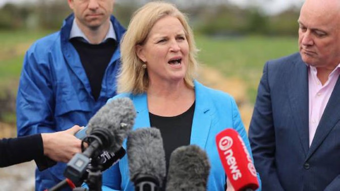 Social Development Minister Louise Upston. Photo / Michael Craig