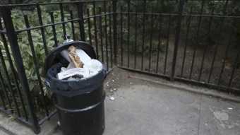 With trash bins now required in NYC, only the rats are sorry to see the garbage piles go