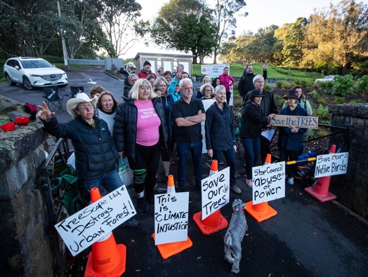 Honour the Maunga on day one of its protest in November 2019. (Photo / File)