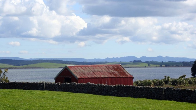The health of Lake Ōmāpere, in the Far North, has been under pressure for decades, but a new agreement should help restore the life force of the culturally significant lake.