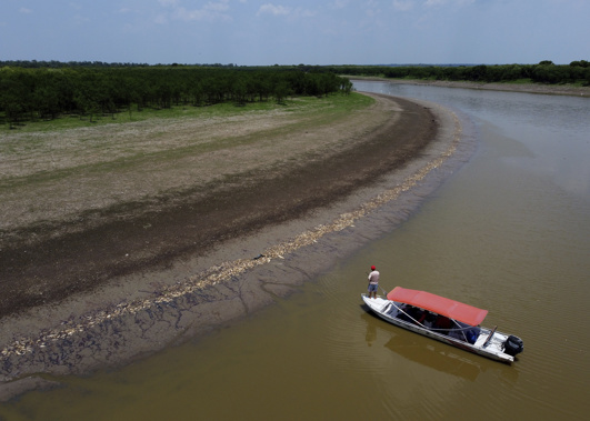 A fisherman stands on his boat as he navigates near thousands of dead fish awash on the banks of Piranha Lake due to a severe drought in the state of Amazonas, in Manacapuru, Brazil, Wednesday, Sept. 27, 2023. Photo / AP