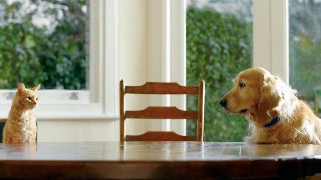 Photo / Getty Images