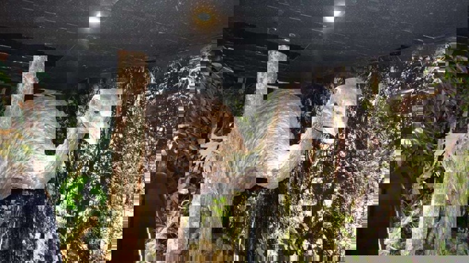 The figure of a moa inside the Time Tunnel ride. Photo / RNZ