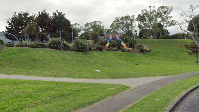 The child was approached by a stranger at Aronia Park in Goodwood Heights before being assaulted in nearby bushes. Photo / Google