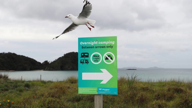 The restrictions on those who could camp overnight were being suggested to reduce the "unfair burden" placed on communities by people who flouted the rules. Photo / Michael Cunningham
