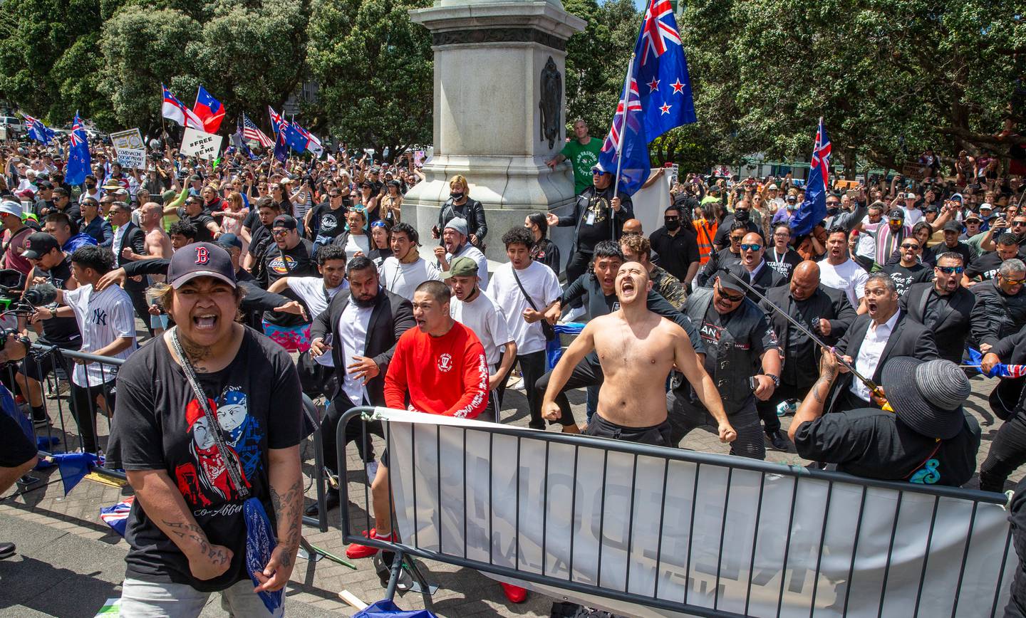 Freedom and Rights Coalition protesters performing a haka at Parliament, Wellington last week. (Photo / Mark Mitchell)