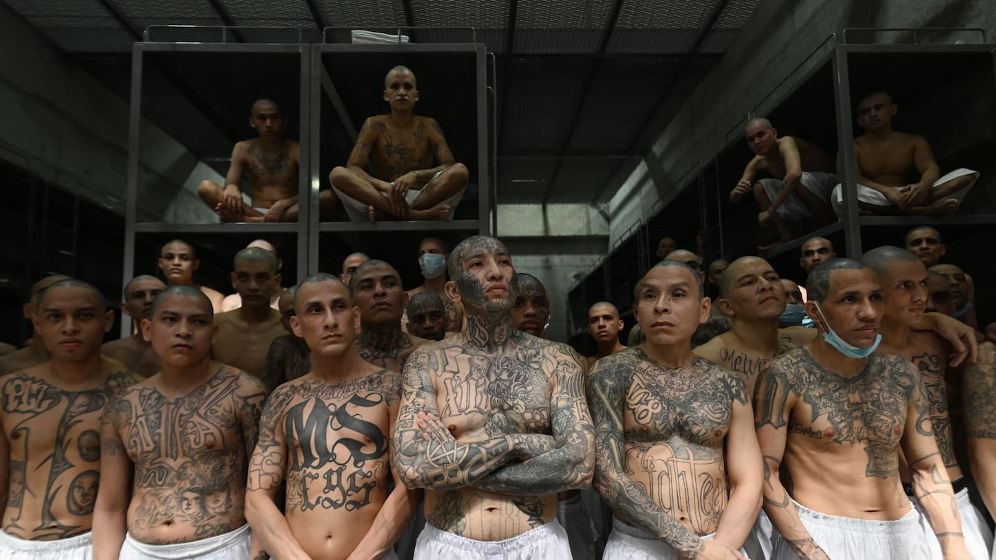 Jail for 1335 years: Gang members given centuries-long sentences