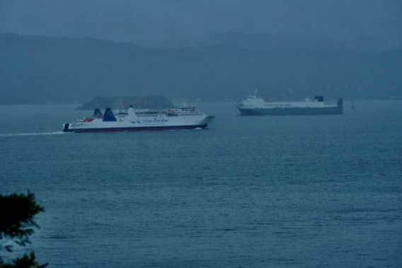 Valentine (right) making a misty arrival in Wellington, passing the Aratere as it heads out on the Cook Strait run. (Photo / Supplied)