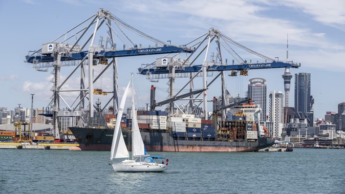 Stats NZ said export prices for goods rose 0.7% and import prices fell 1.7%. Photo / Michael Craig
