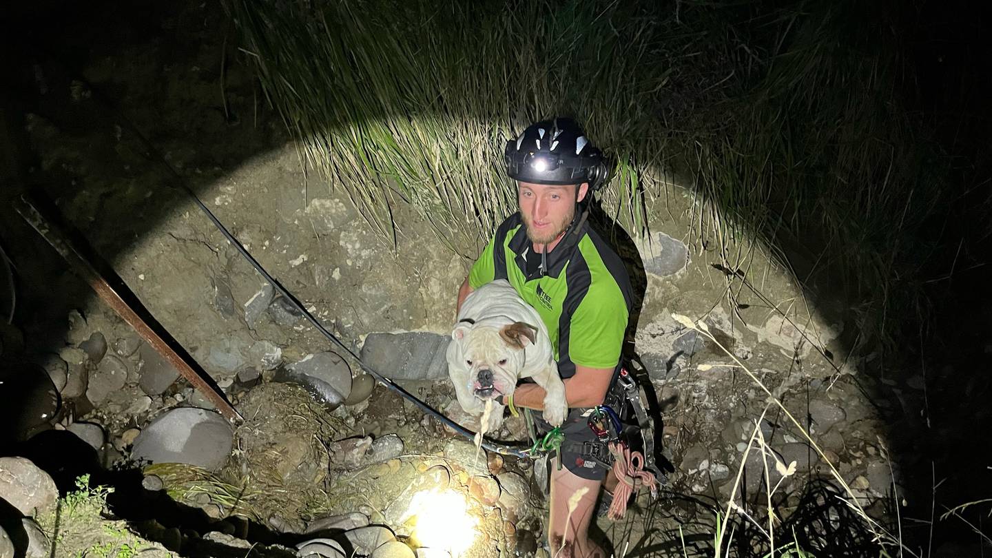 A true team effort helped save Zeus the dog near the Mohaka River on Saturday.