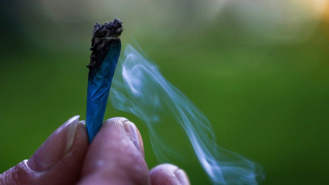 A dairy farm worker who admitted growing cannabis in his accommodation, but denied he was stoned on the job, has successfully proved his sacking wasn't handled fairly and properly . Photo / NZME