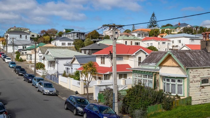 Urban housing in Newtown, Wellington. Photo / Mark Mitchell
