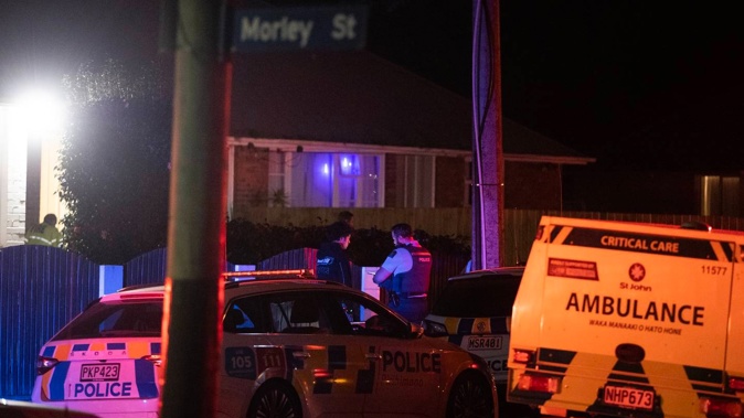 The dog seriously injured a person. Photo / George Heard