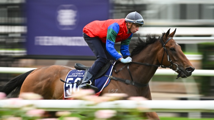 Michael Dee riding Sharp 'N' Smart during a trackwork session at Flemington Racecourse, on October 29, 2024 in Melbourne, Australia. (Photo by Vince Caligiuri/Getty Images)
