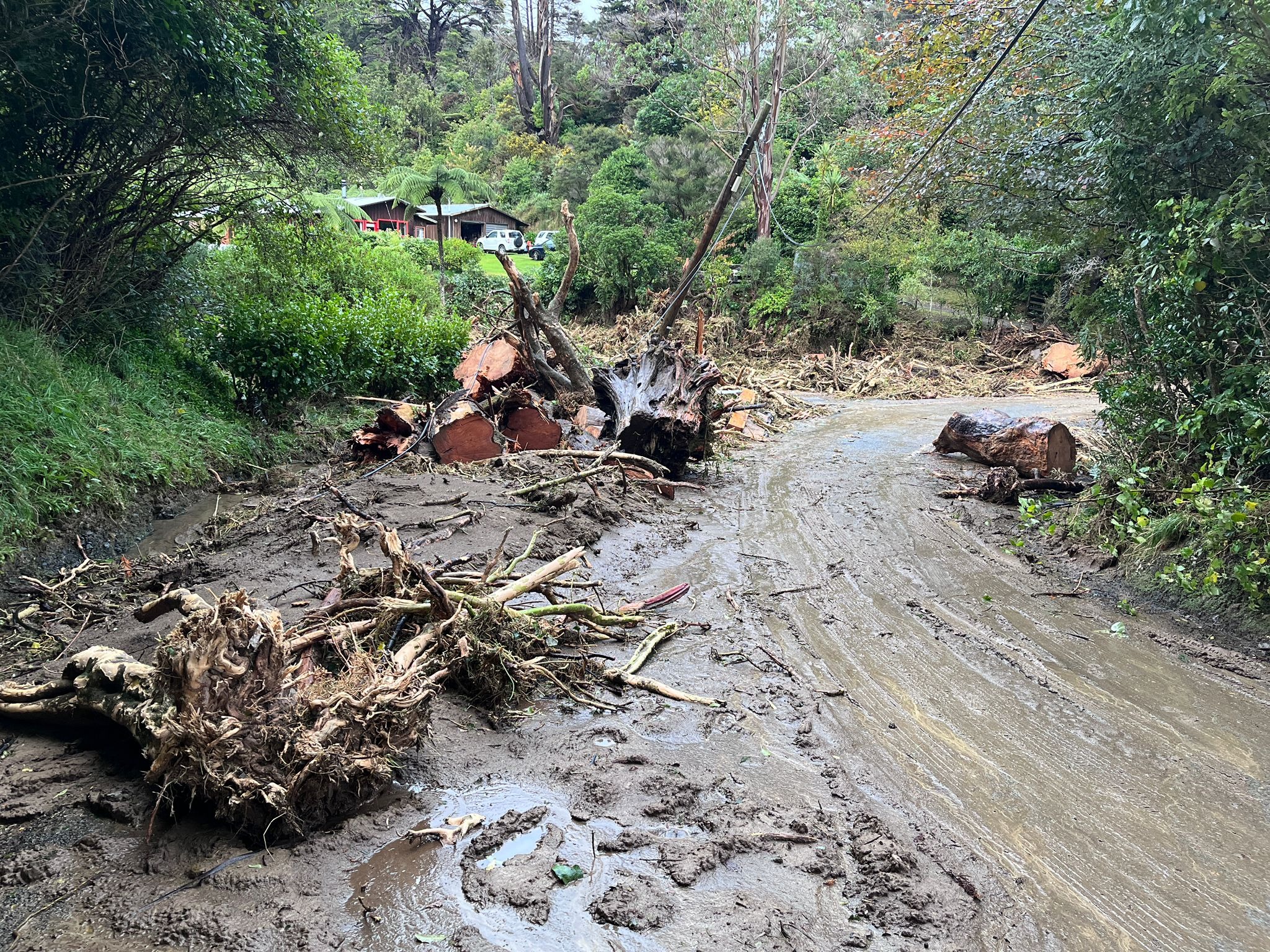 'There are improvements that can be made': Expert unpacks forecasting tech following Wellington floods 