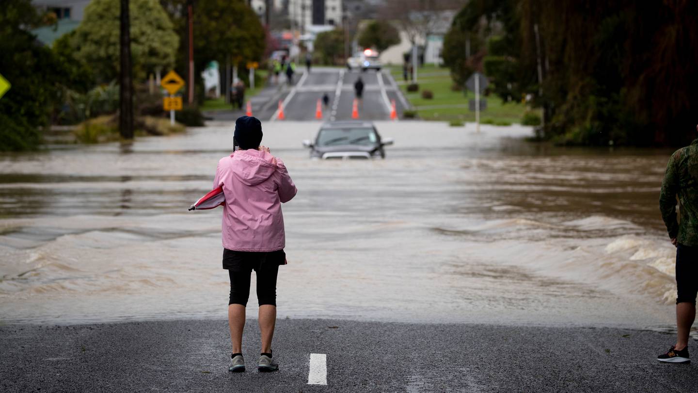 (Photo / Dean Purcell)