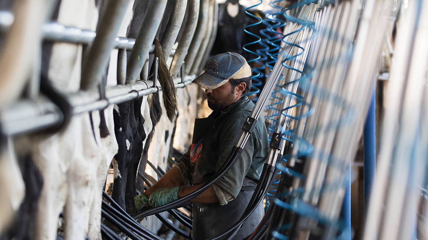 The buyback is separate from Fonterra's plan to have a market-making arrangement. Photo / Getty Images
