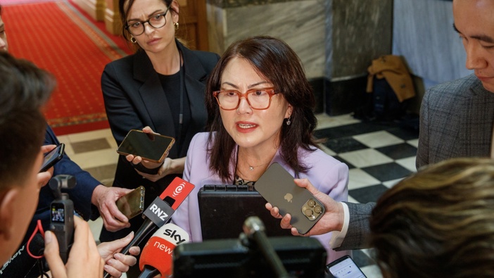Melissa Lee speaking to media on her way into the House, Parliament, Wellington. 09 April, 2024. Photo / Mark Mitchell