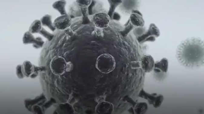 The latest Ministry of Health figures showed there’d been 5230 reported cases of the virus over the week to June 9, along with 354 cases in hospital and 20 virus-attributed deaths. Photo / WHO