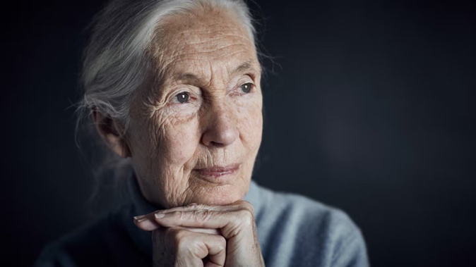 Dr Jane Goodall is returning to New Zealand for her Reasons For Hope tour.