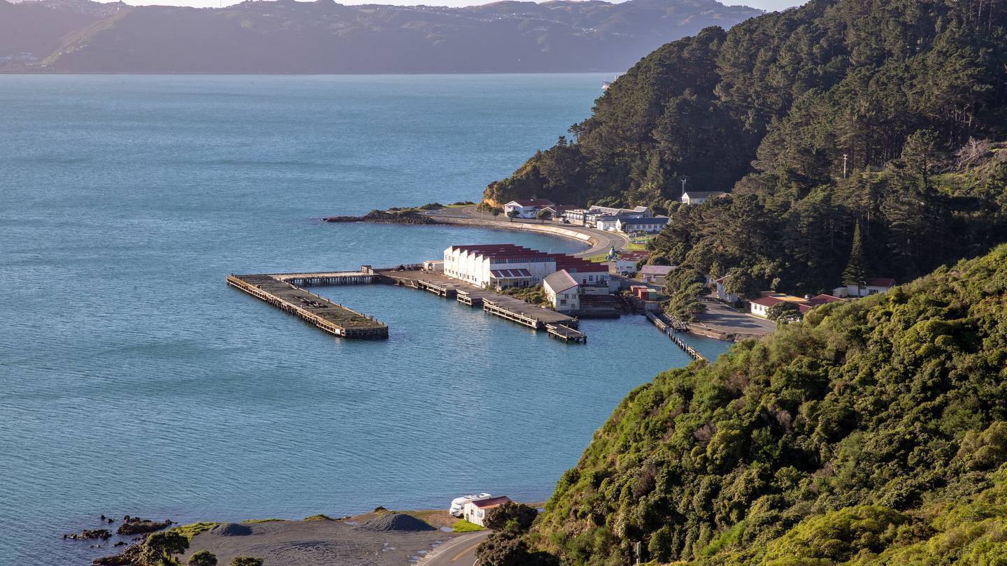 Shelly Bay. Photo / Mark Mitchell
