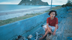 Waitangi Tribunal calls for extension to citizenship rights for Māori, rules legislation breaches Te Tiriti o Waitangi