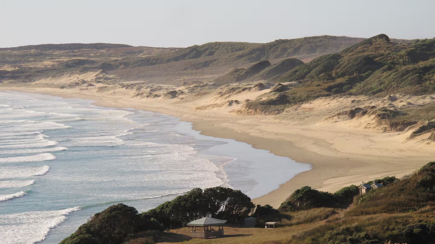 Twilight Beach in the Far North, where 29 pilot whales stranded on Monday. Photo / NZME