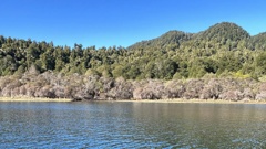 Wairoa mayor Craig Little believe dead fauna and damage around the edge of Lake Waikaremoana could be related to mismanagement of the water level. Photo / Craig Little