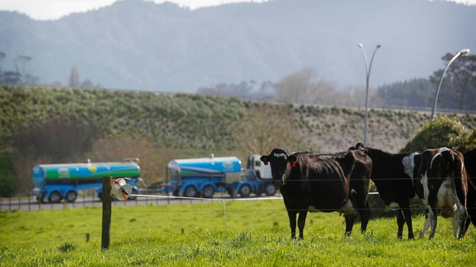 Fonterra has revised its milk price and earnings forecasts. Photo / File