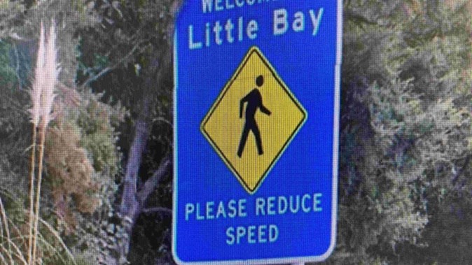 Little Bay residents in the Coromandel are pleading for a speed limit reduction.