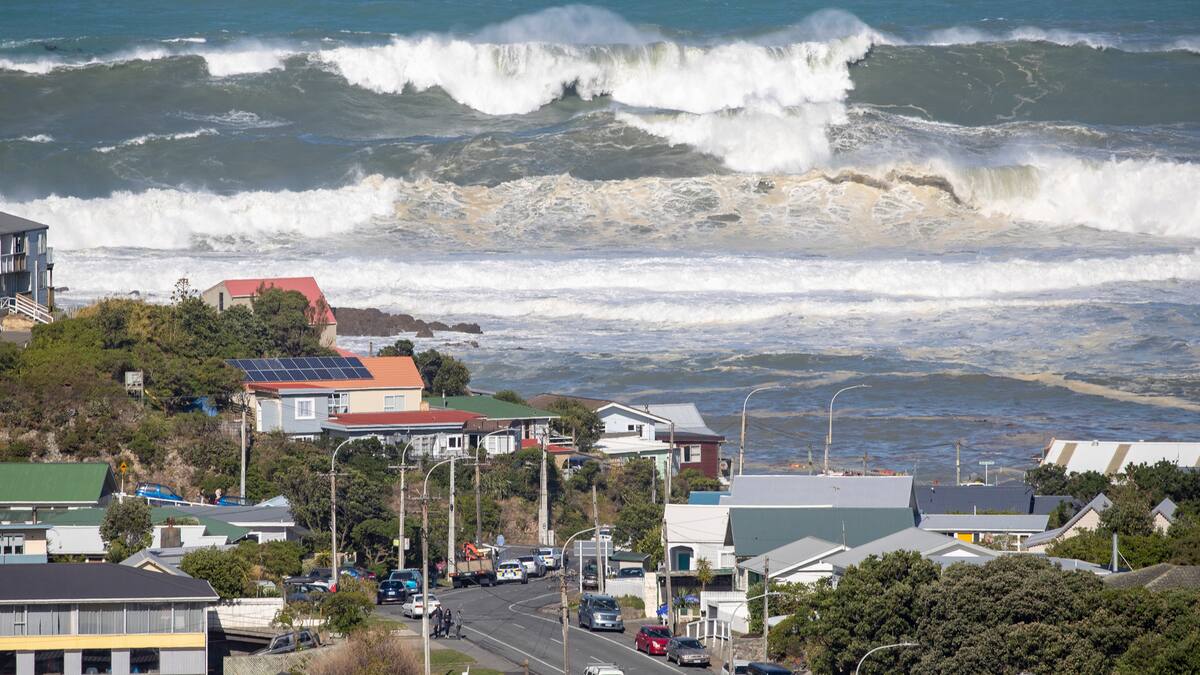 Human remains found in Wellington garden possibly pre-European