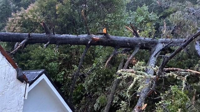 Auckland, Northland face orange heavy rain warnings, thunderstorms possible