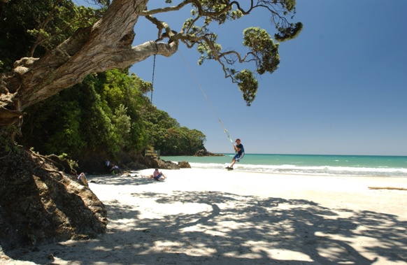 Photo / Bay of Plenty NZ