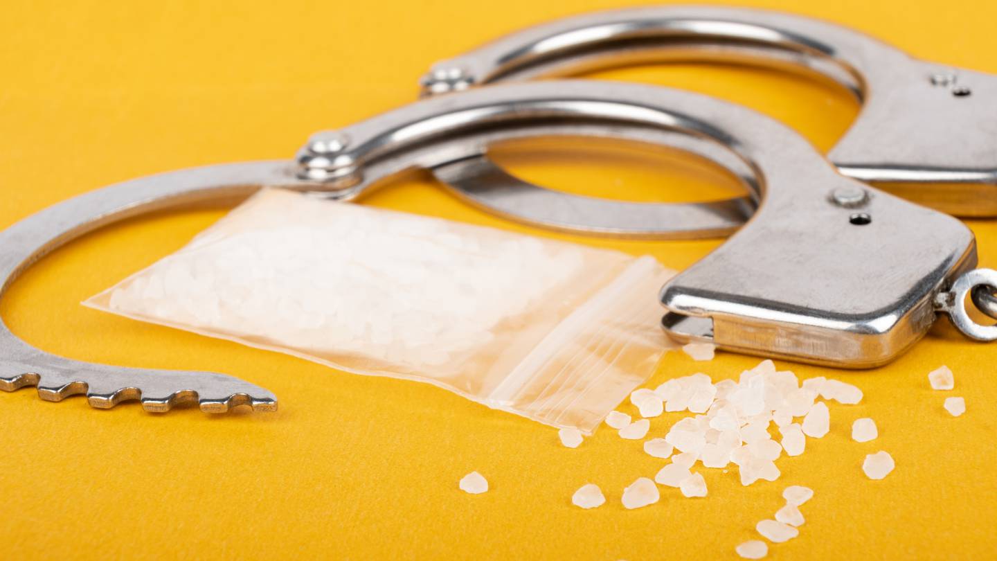 Police have arrested two people after several raids on West Auckland properties this morning.