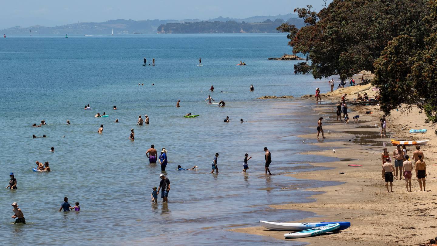 Beachgoers enjoy the water at Narrow Neck Beach. (Photo / Brett Phibbs)