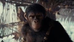 The movie follows chimpanzee Noa as he journeys across an overgrown world where humans have become the primitive species in order to rescue his tribe from a ferocious rival group. Photo / Getty Images