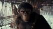 Planet of the Apes revived in new sequel instalment 