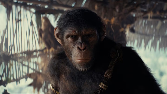 The movie follows chimpanzee Noa as he journeys across an overgrown world where humans have become the primitive species in order to rescue his tribe from a ferocious rival group. Photo / Getty Images