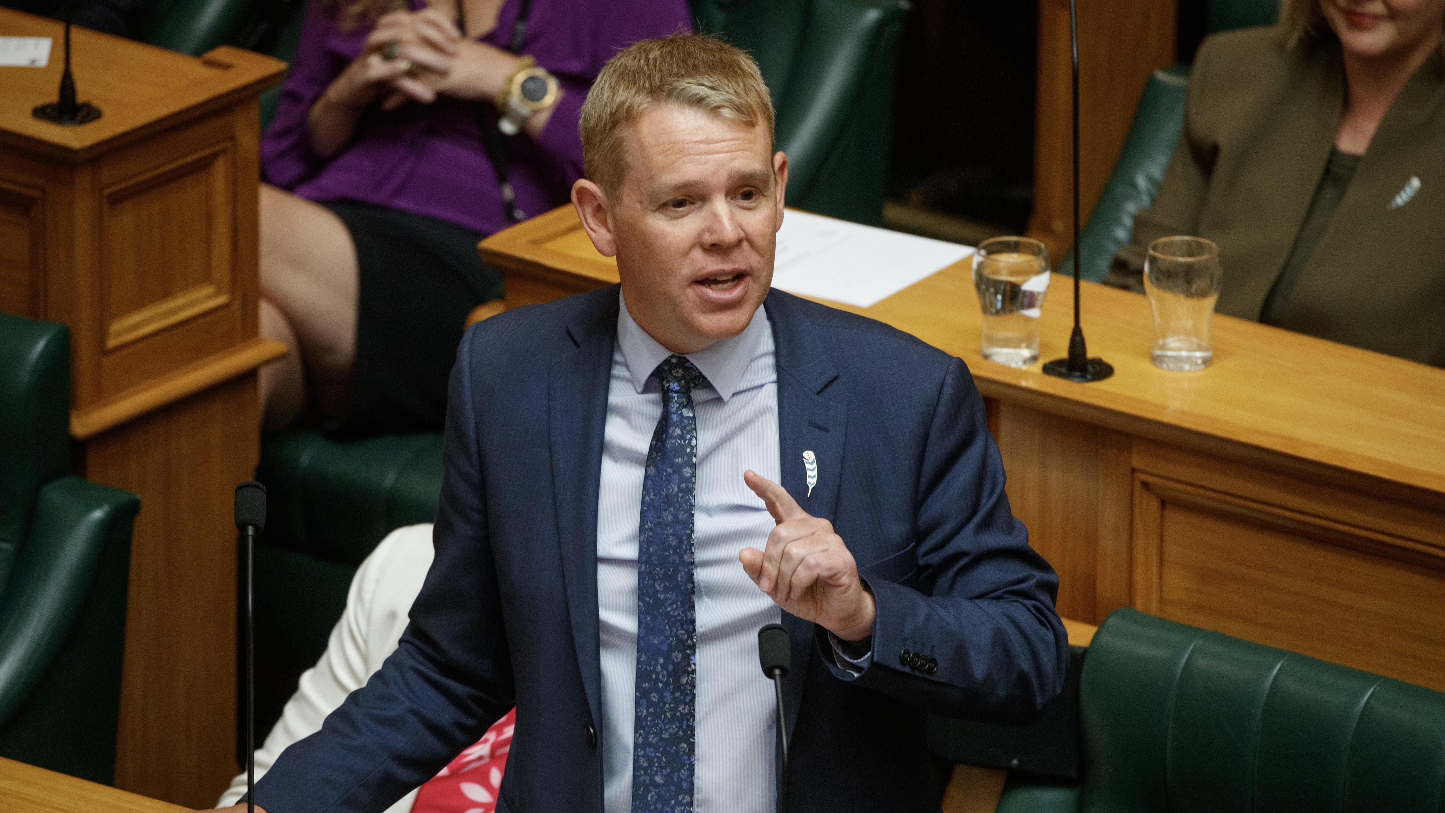 Heather du Plessis-Allan: What Chris Hipkins is doing to the Covid Inquiry