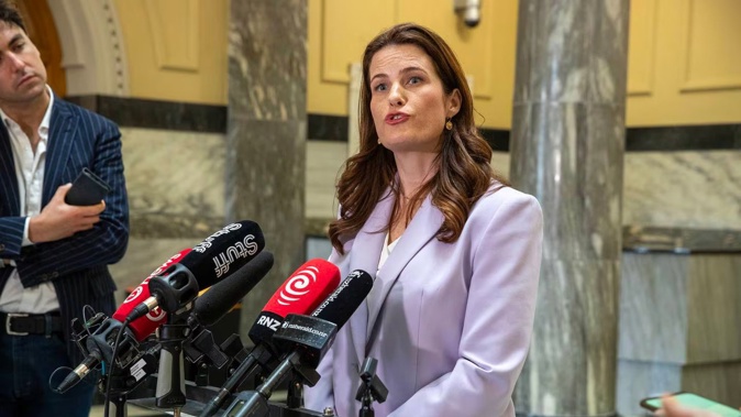 "We absolutely welcome people using te reo Māori," says Finance Minister Nicola Willis. Photo / Mark Mitchell