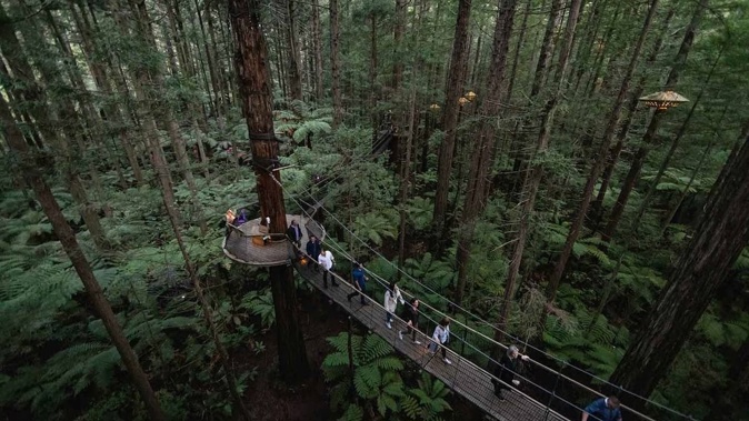 The 700-metre-long eco-tourism walk by Redwoods Treewalk is a magical experience that radiates tranquillity. Photo / Cameron Mackenzie