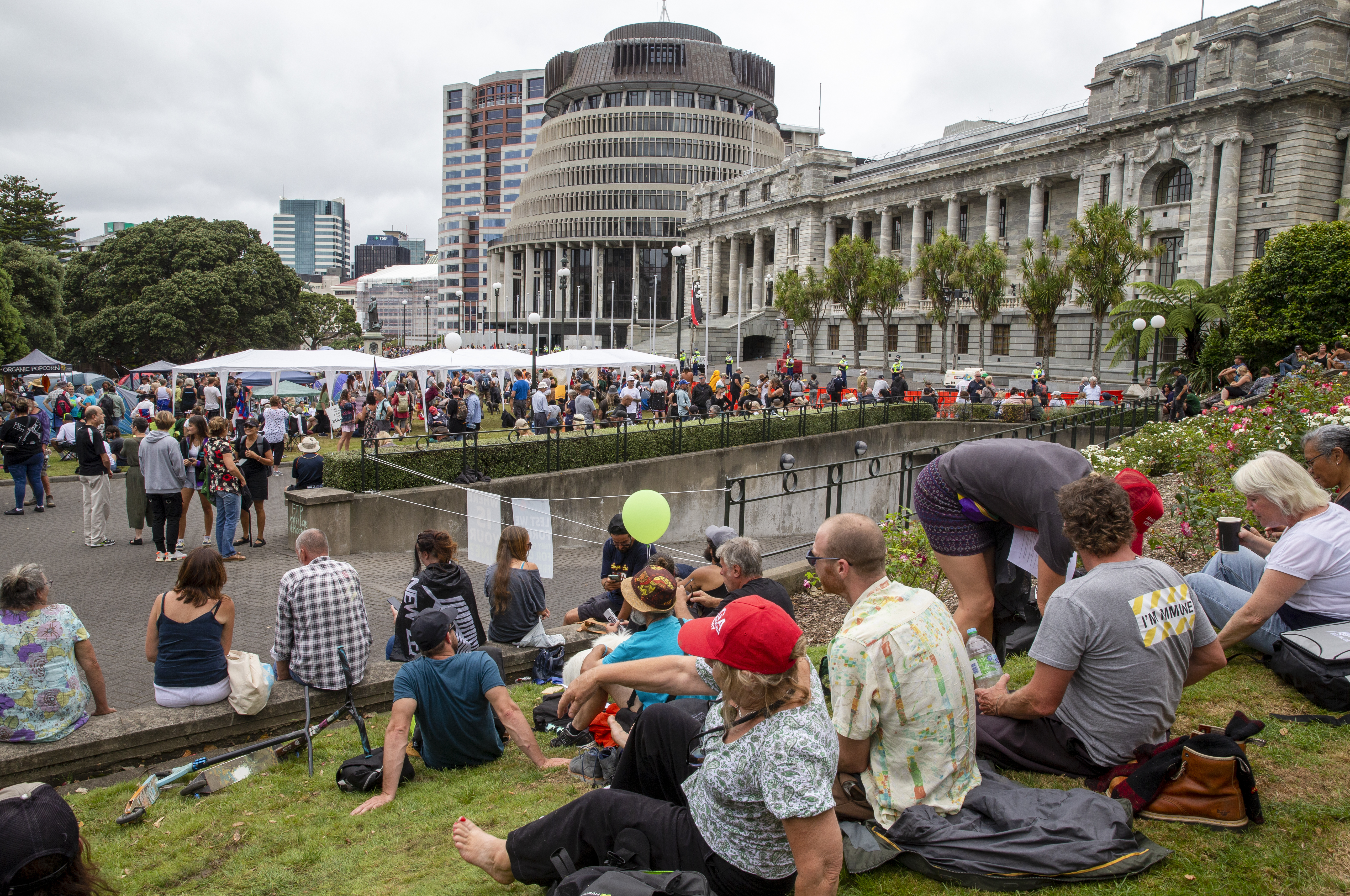 (Photo / Mark Mitchell)