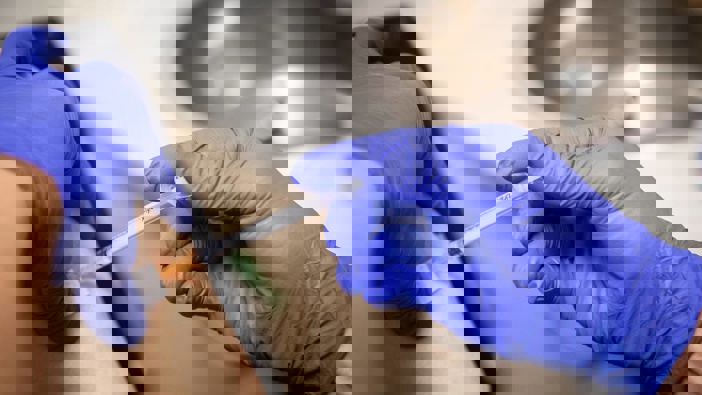 (Photo / Jason Oxenham)