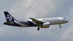 An Air New Zealand flight was struck by lightning this morning. Photo / 123rf