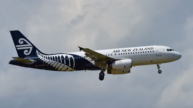 An Air New Zealand flight was struck by lightning this morning. Photo / 123rf